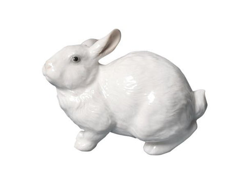 Big-eared white rabbit