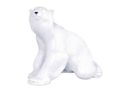Polar bear sitting