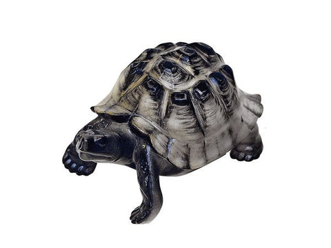 Turtle dark shell 80 mm