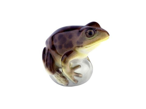 Pond Frog Brown