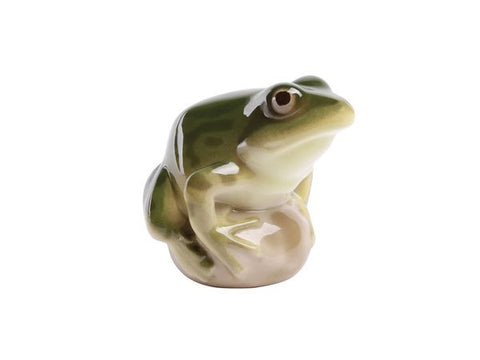 Pond Frog Green