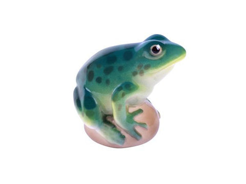 Pond Frog Turquoise