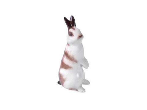 Rabbit "Pusha"